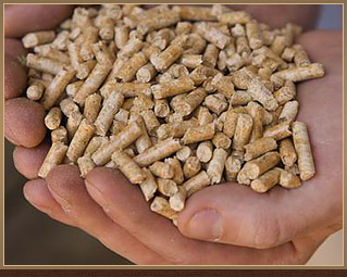 Now Selling Wood Pellets